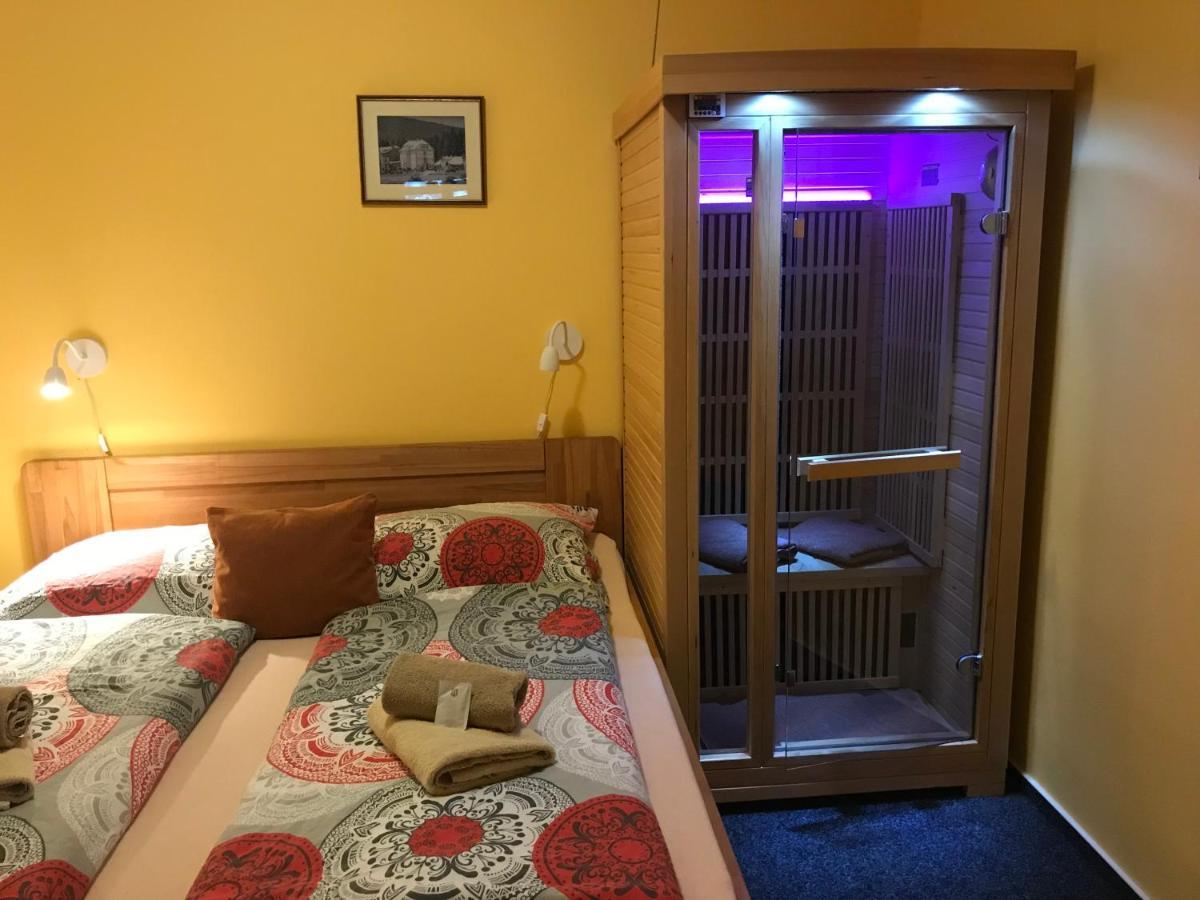 Pension Aura Spicak, Nektere Pokoje Se Saunou Železná Ruda Kültér fotó