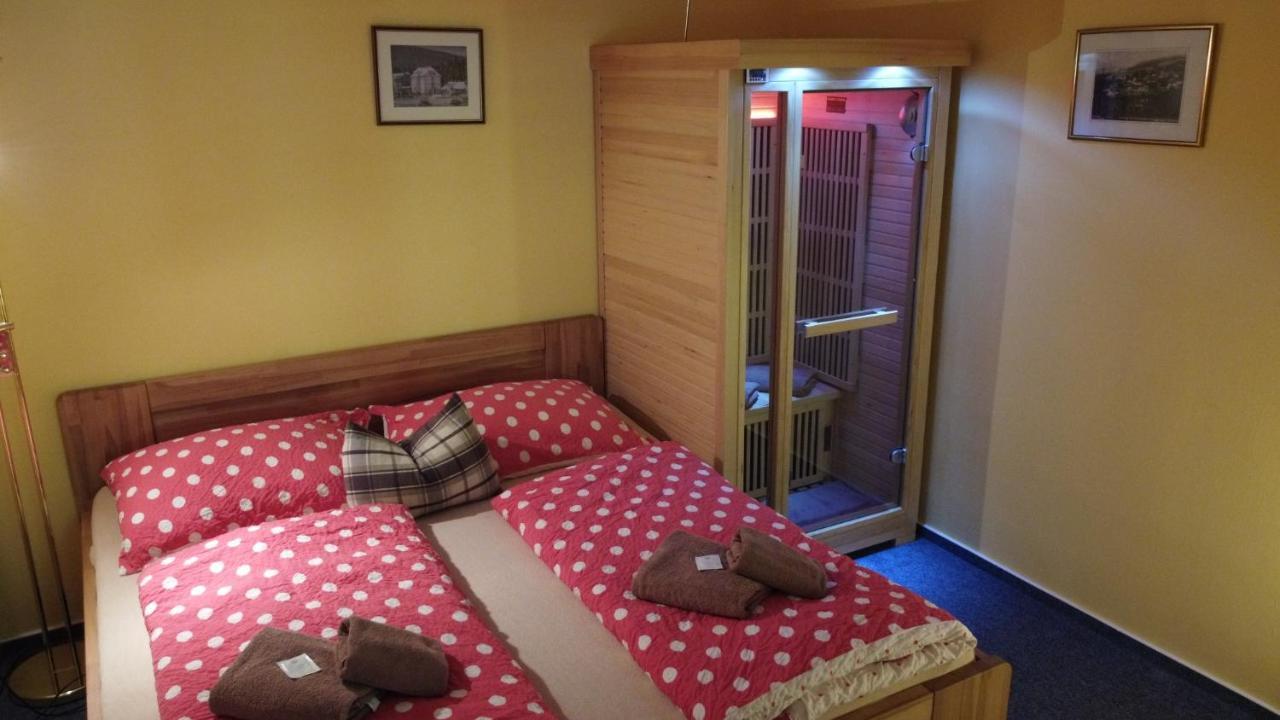 Pension Aura Spicak, Nektere Pokoje Se Saunou Železná Ruda Kültér fotó